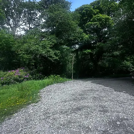 Bed & Breakfast Old School House Moyard