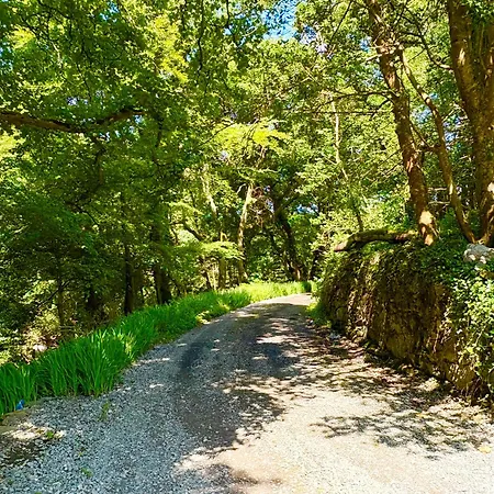 Old School House Moyard