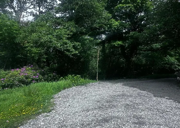 Bed and breakfast Old School House Moyard