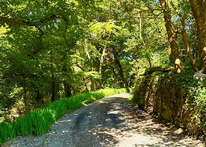 Old School House Moyard